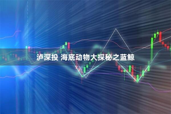泸深投 海底动物大探秘之蓝鲸
