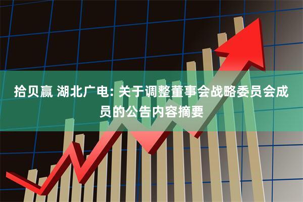 拾贝赢 湖北广电: 关于调整董事会战略委员会成员的公告内容摘要