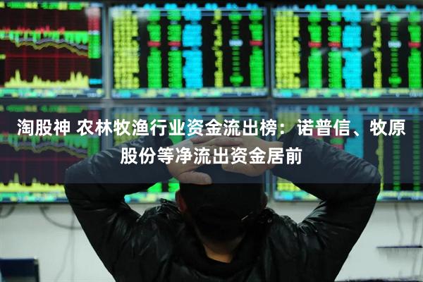 淘股神 农林牧渔行业资金流出榜：诺普信、牧原股份等净流出资金居前