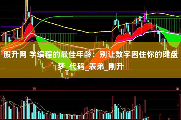 股升网 学编程的最佳年龄：别让数字困住你的键盘梦_代码_表弟_刚升