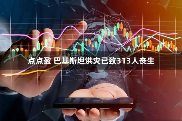 点点盈 巴基斯坦洪灾已致313人丧生