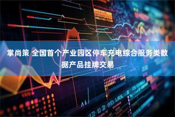 掌尚策 全国首个产业园区停车充电综合服务类数据产品挂牌交易