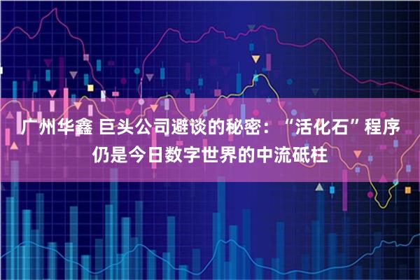 广州华鑫 巨头公司避谈的秘密：“活化石”程序仍是今日数字世界的中流砥柱