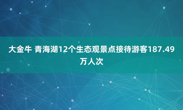 大金牛 青海湖12个生态观景点接待游客187.49万人次