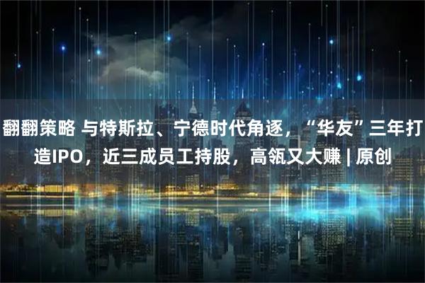 翻翻策略 与特斯拉、宁德时代角逐,“华友”三年打造IPO,近三成员工持股,高瓴又大赚 | 原创