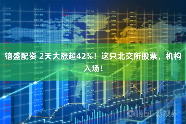 镕盛配资 2天大涨超42%!这只北交所股票,机构入场!