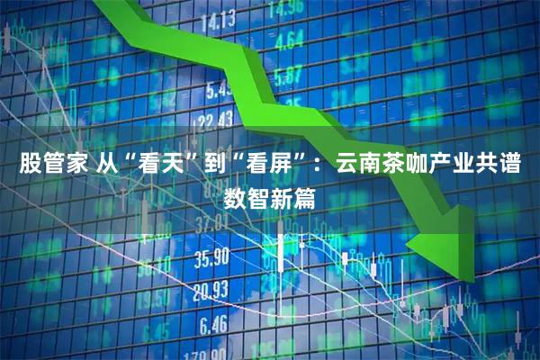 股管家 从“看天”到“看屏”：云南茶咖产业共谱数智新篇