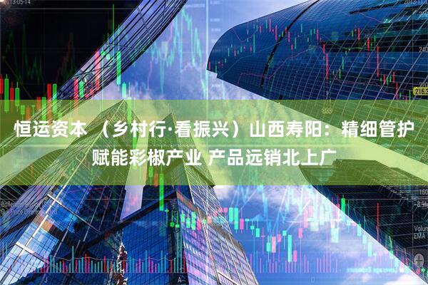 恒运资本 （乡村行·看振兴）山西寿阳：精细管护赋能彩椒产业 产品远销北上广