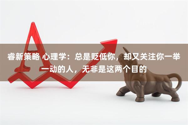 睿新策略 心理学:总是贬低你,却又关注你一举一动的人,无非是这两个目的
